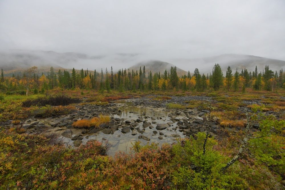 Photograph by Margareth Tikhonova