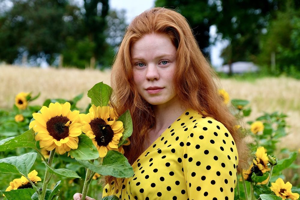 When sunflowers matures