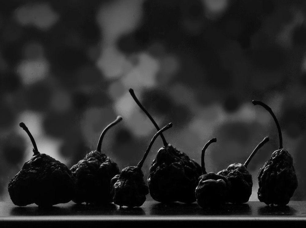 Встреча старых друзей