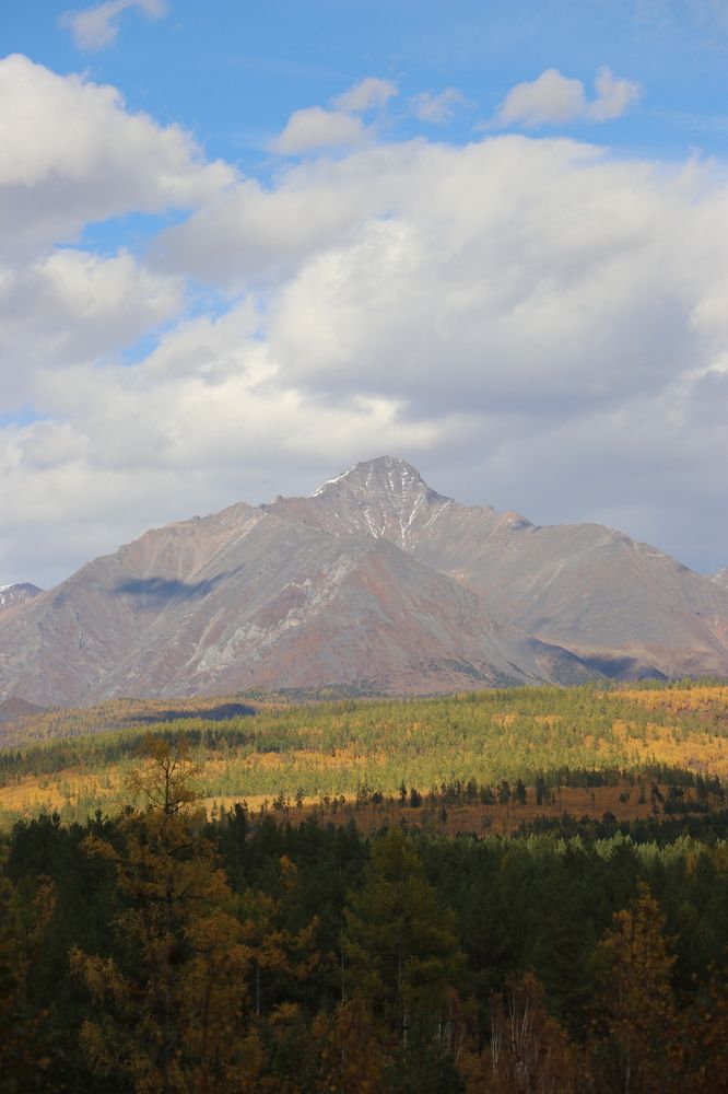 Photograph by Инна Шикуева