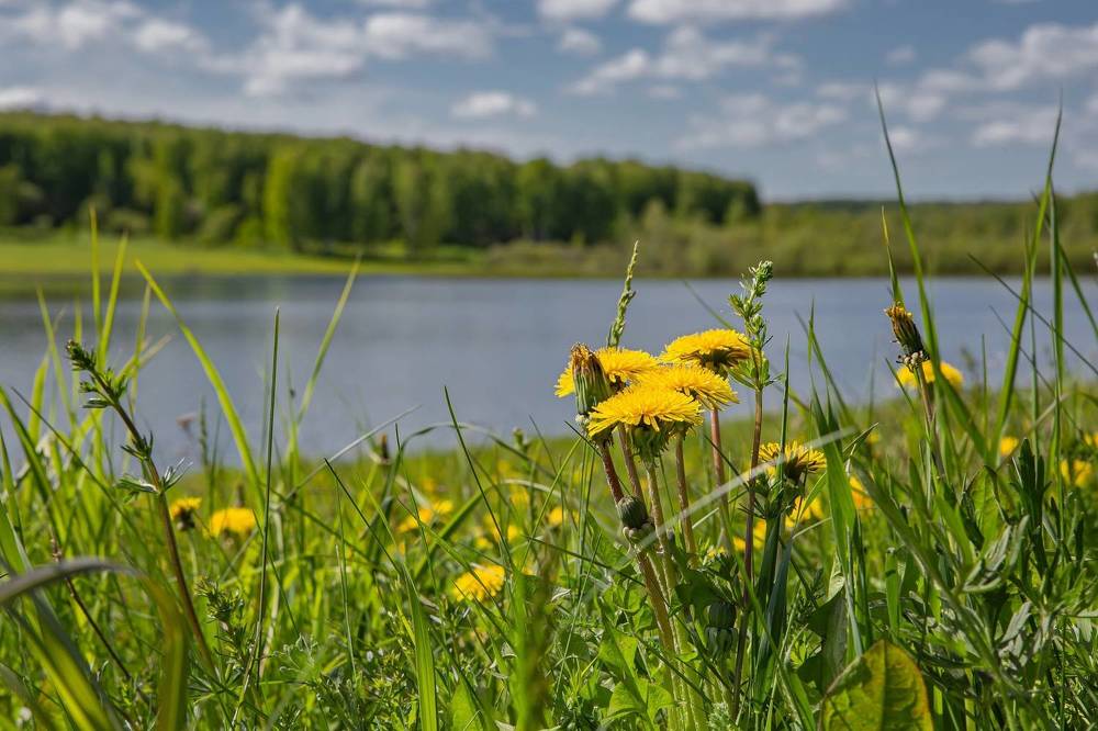 Photograph by Елена Павлова