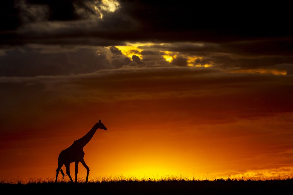 Photograph by Sai Kiran Bhagavatula