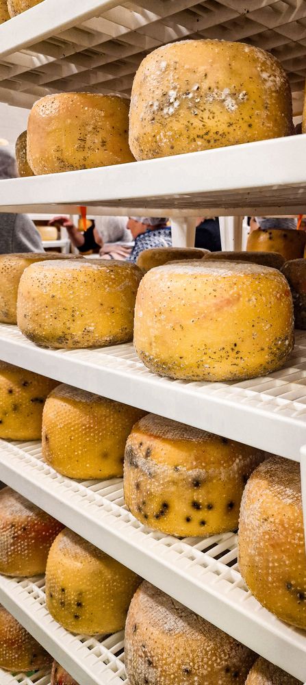 Photograph by Ljudmilla Pavljutsenkova