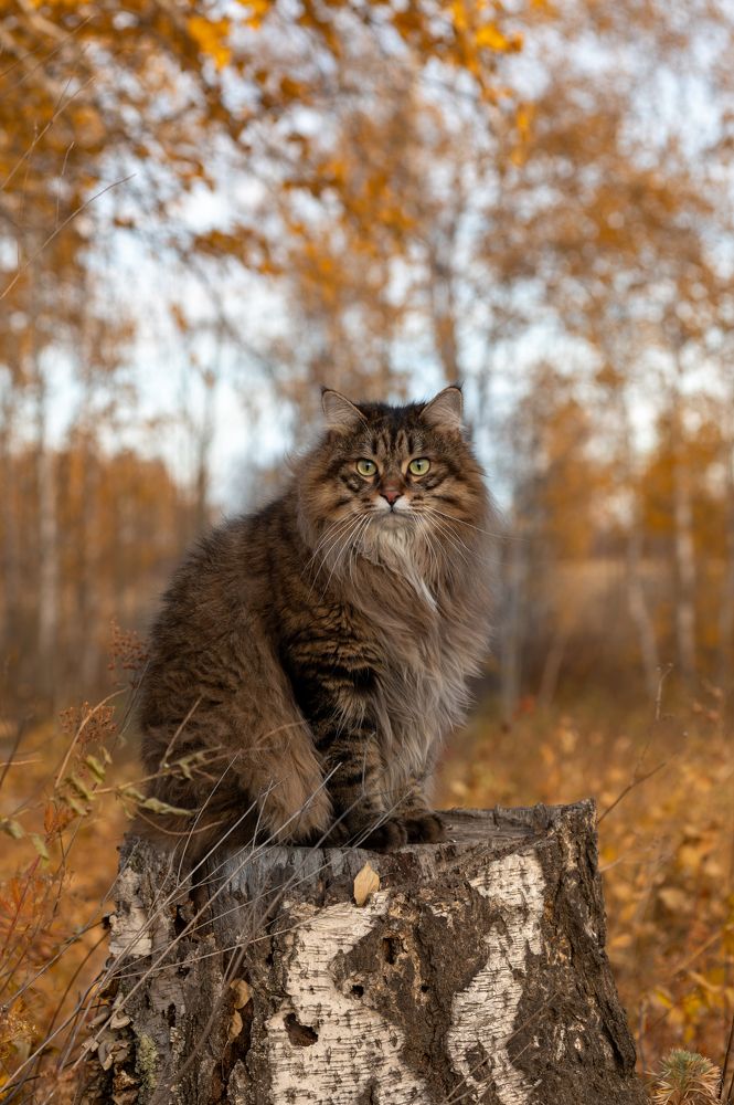 Photograph by Алексей Александрович