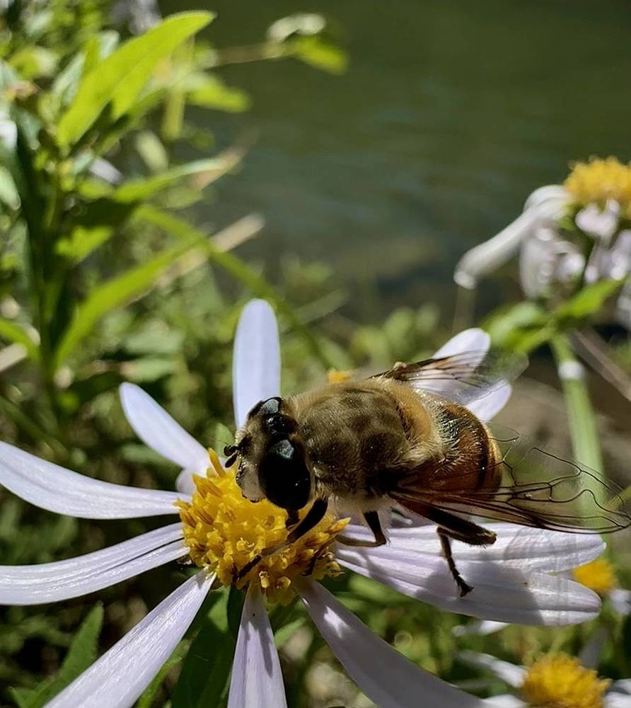 Photograph by Дина Желанова