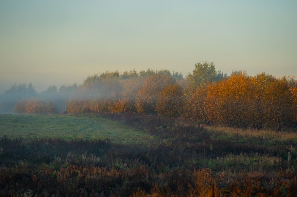 Photograph by Olesya Vladimirova