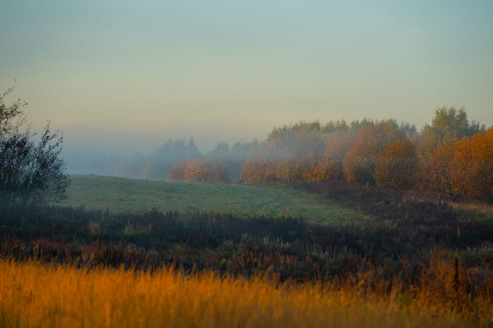 Photograph by Olesya Vladimirova