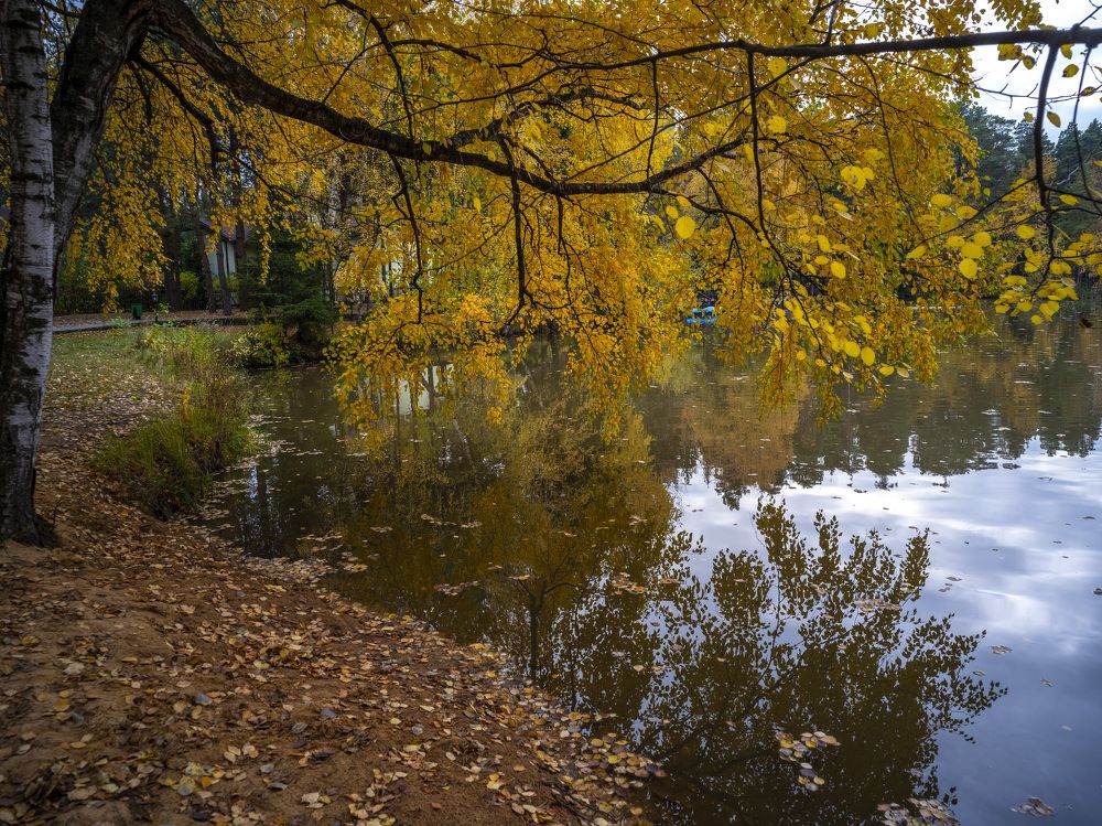 Photograph by Александр Журавлев