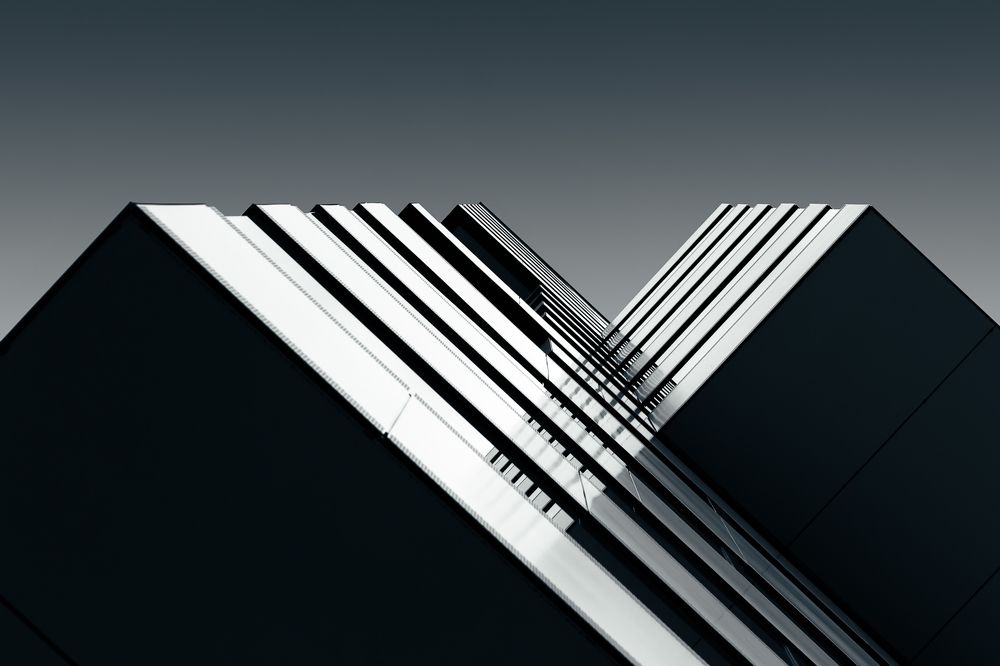 Photograph by Alaa Nour