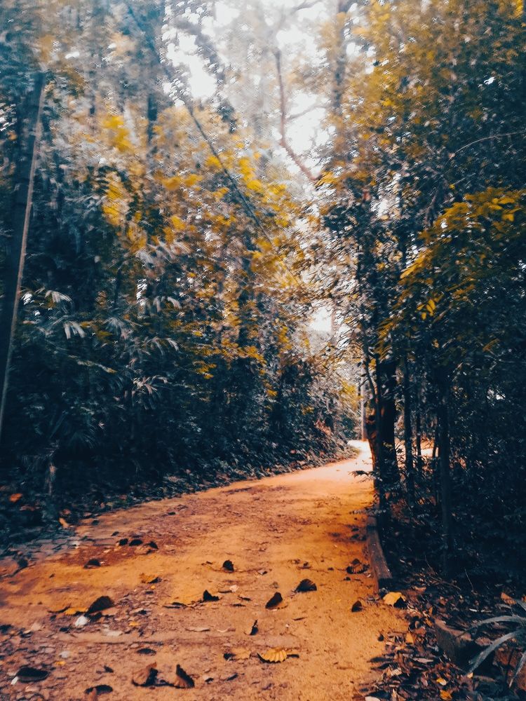 Photograph by Pawan Guruge