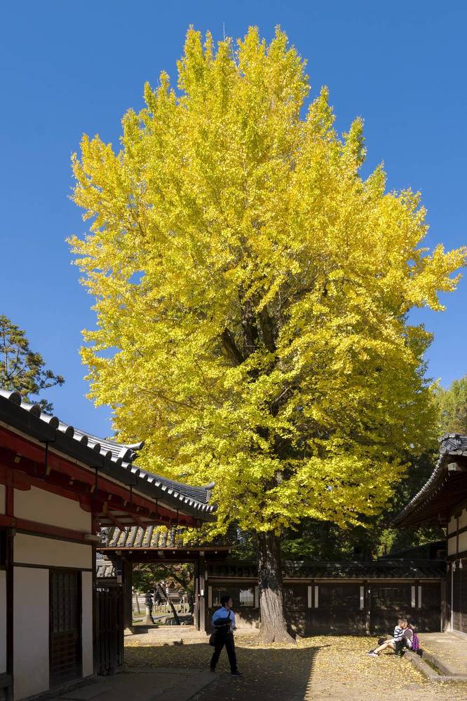 Photograph by Александр Журавлев