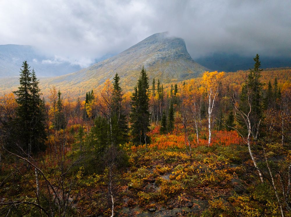 Photograph by Дмитрий Геращенко
