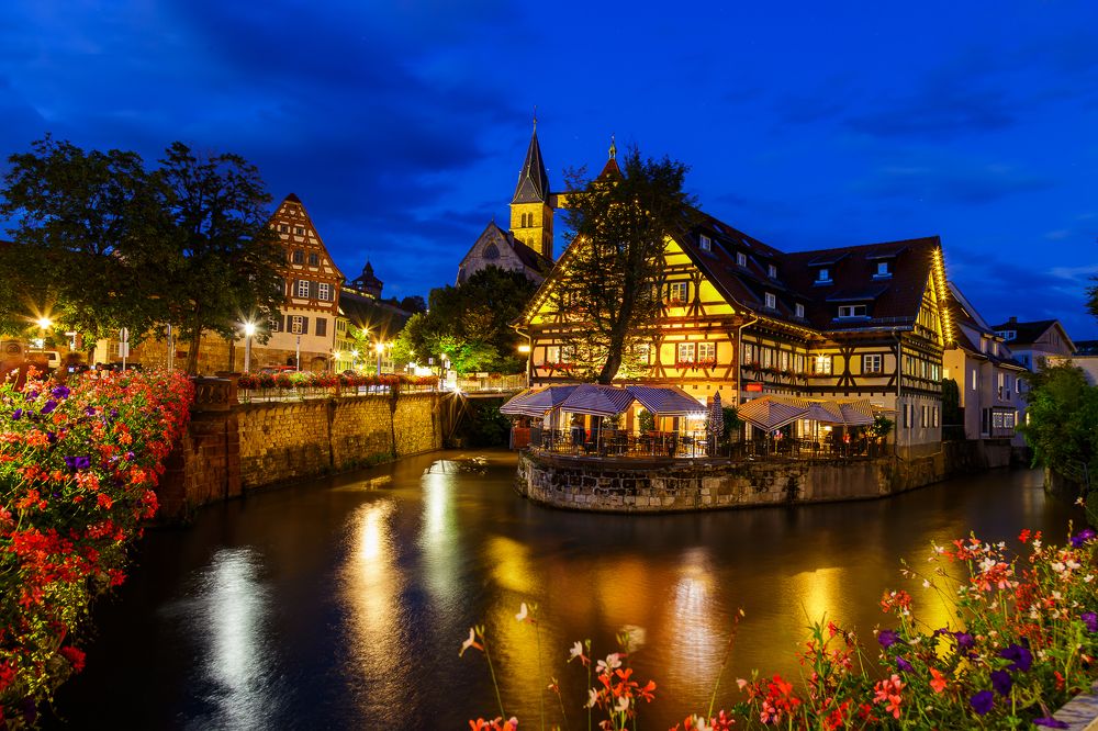 Photograph by Alaa Nour