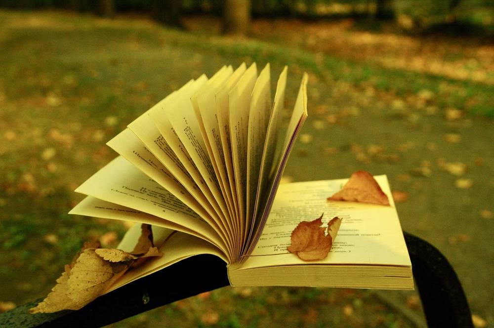 Photograph by Ирина Швейнова