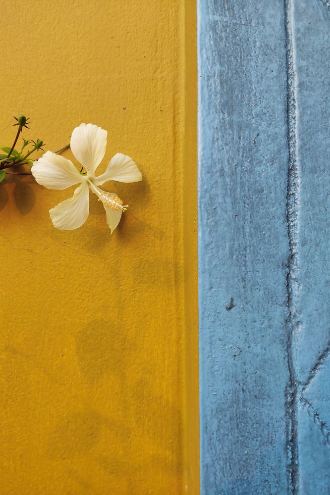 Photograph by Mahfuzur Rahman Siam