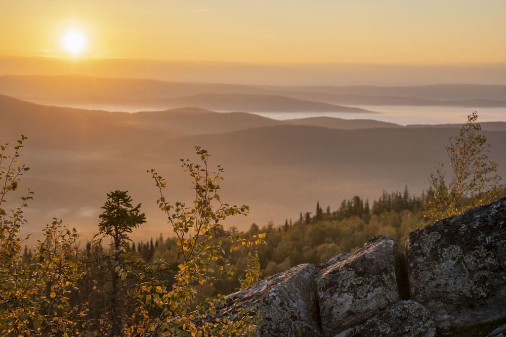 Photograph by Елена Перминова