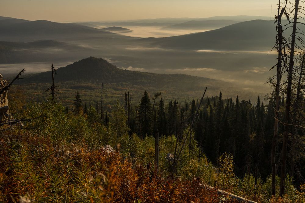 Photograph by Елена Перминова