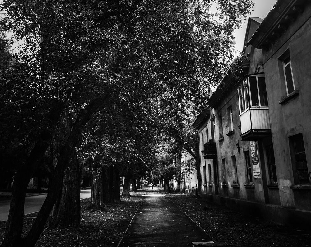 Photograph by Елена Гусева