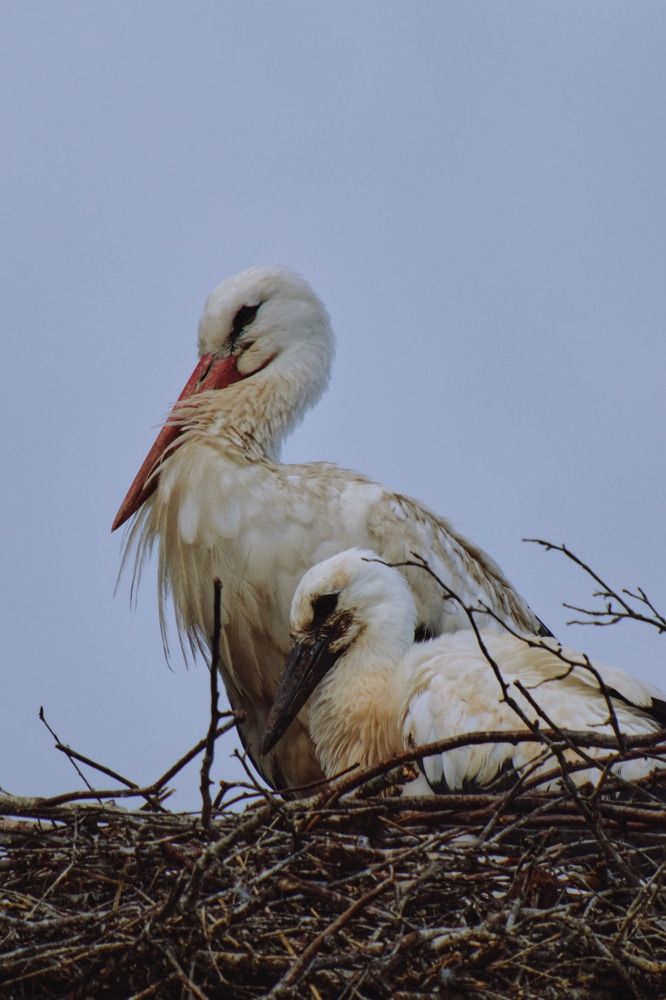 Photograph by Северная Алиса