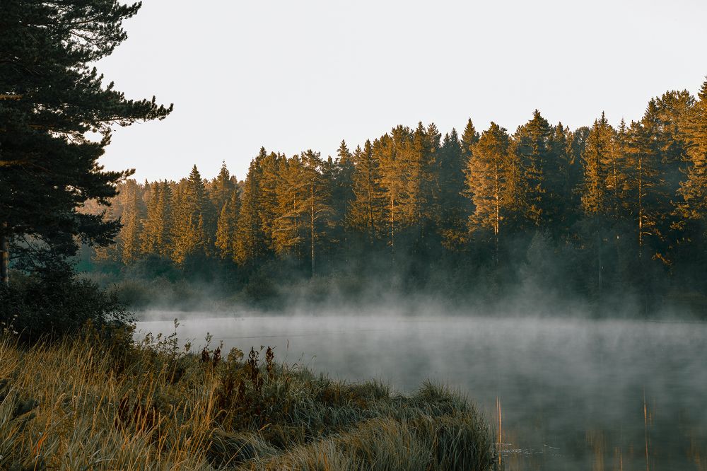 Photograph by Дмитрий Бровко