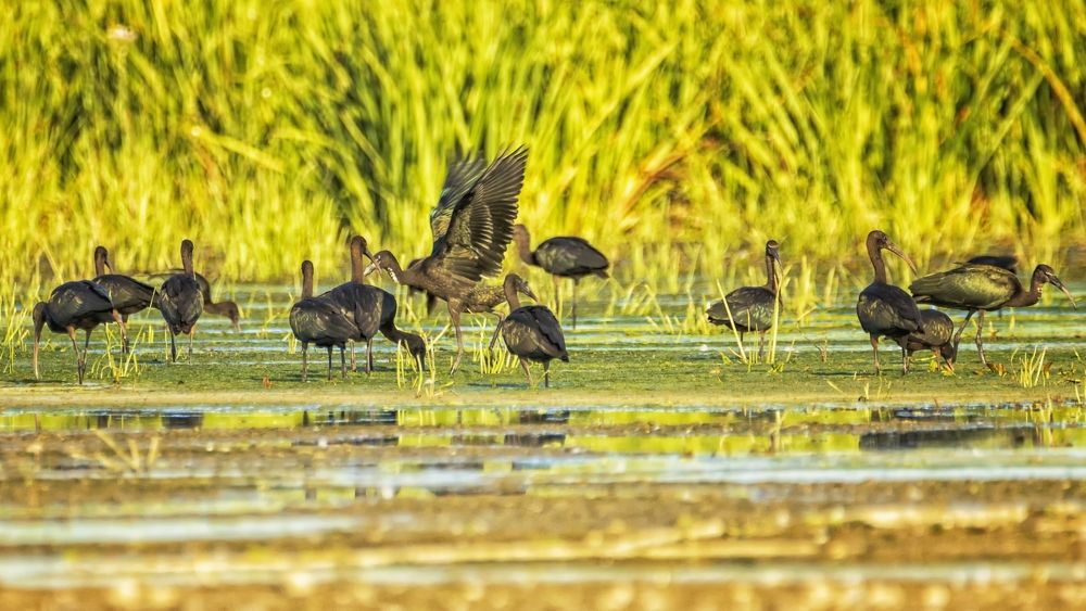 Photograph by Анатолий Салтыков