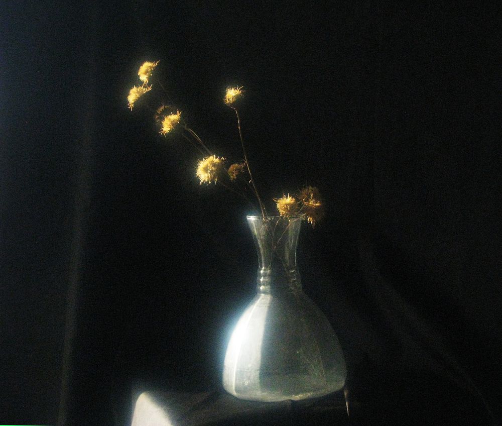 Photograph by Лада Кляузина