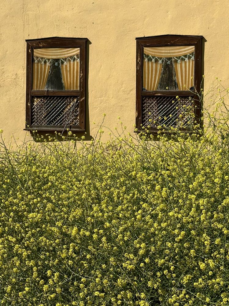 Фотография автора Асель Кузетова