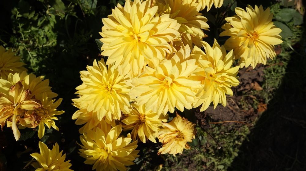 Фотография автора АЛЕКСАНДР ЦЫГЕЛЬНЮК