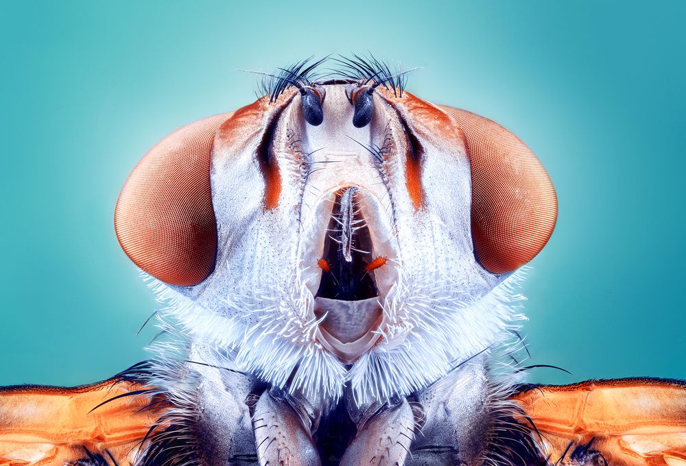 Photograph by Pedro Luis Ajuriaguerra Saiz