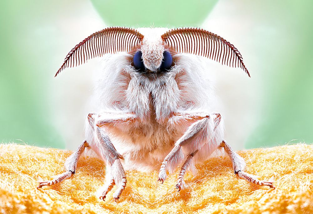 Photograph by Pedro Luis Ajuriaguerra Saiz