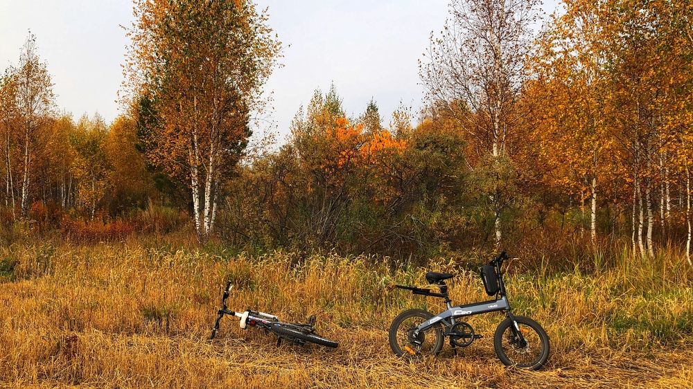 Photograph by Римма Большакова