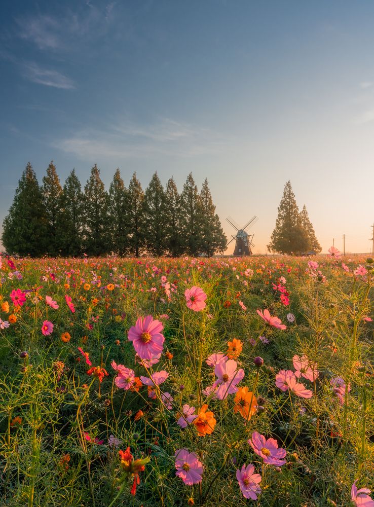 Photograph by Truong Manh Cuong
