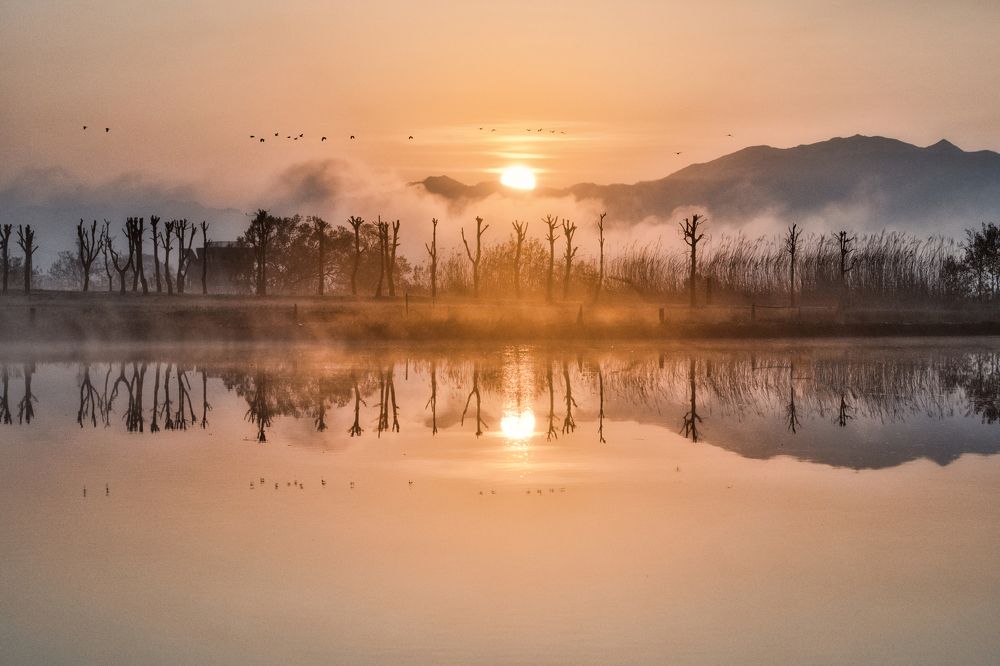 Photograph by Daiyu Moko