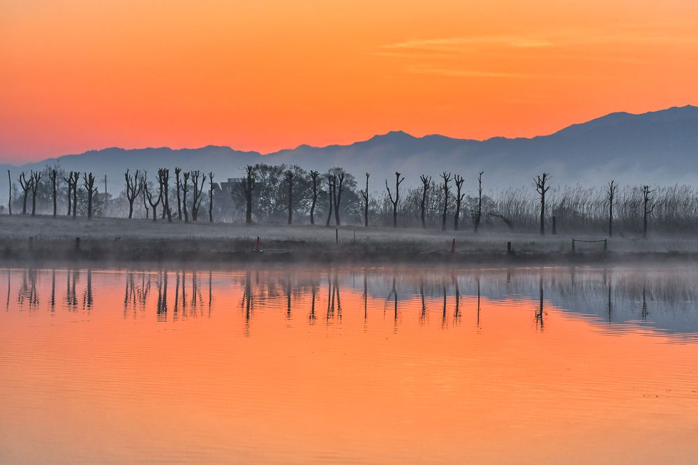 Photograph by Daiyu Moko