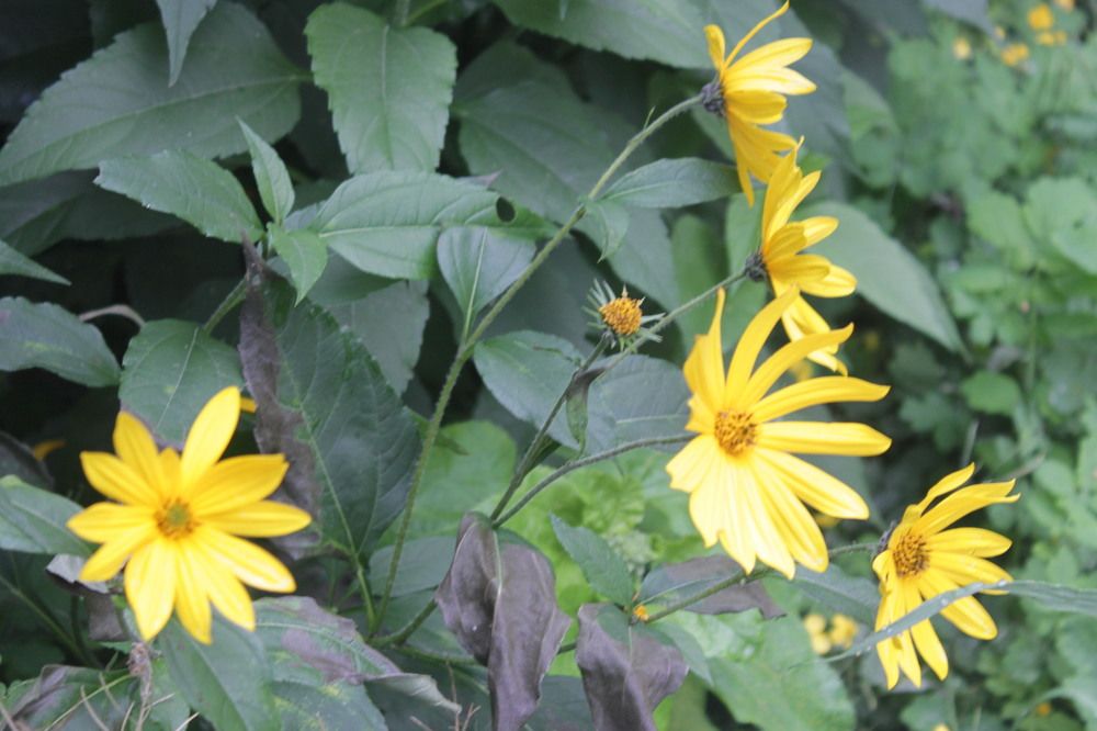 Photograph by Валерия Комаровская