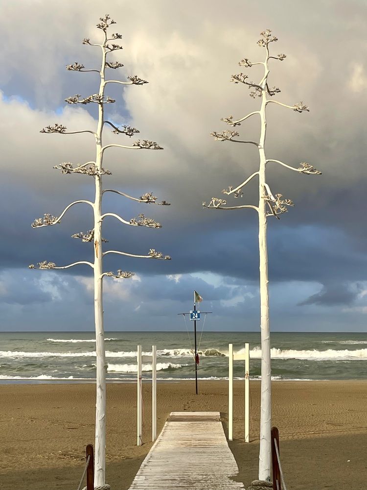 Фотография автора Ольга Полякова