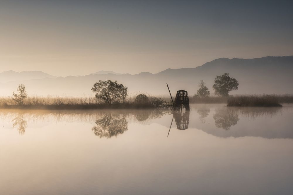 Photograph by Daiyu Moko