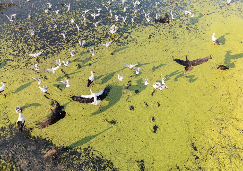 Photograph by Yakup Temel