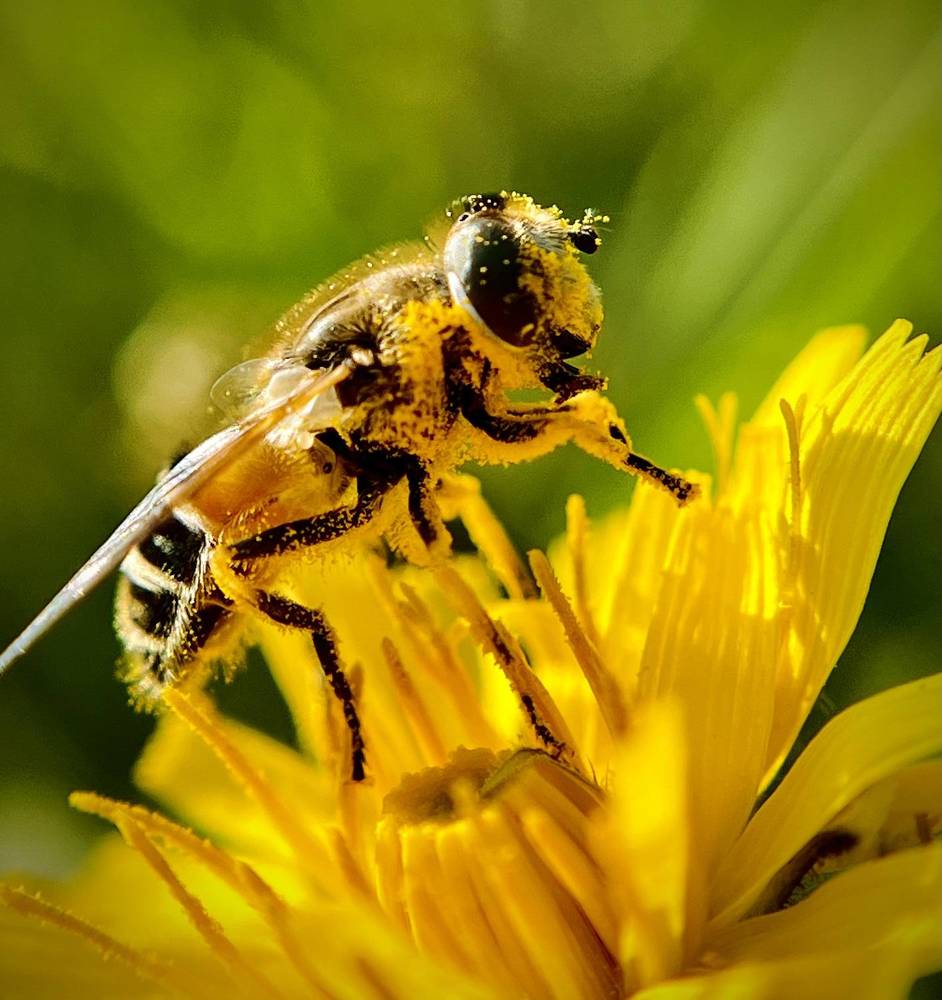 Photograph by Татьяна Михайловна