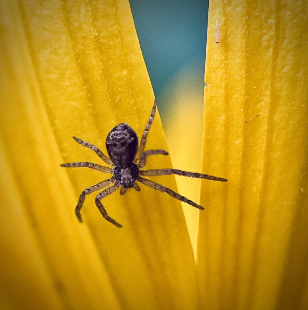 Photograph by Татьяна Михайловна