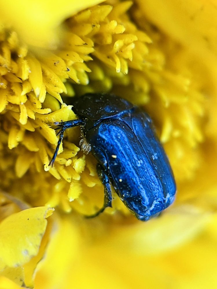 Photograph by Татьяна Михайловна