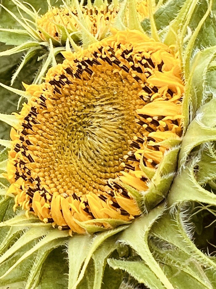 Photograph by Татьяна Михайловна