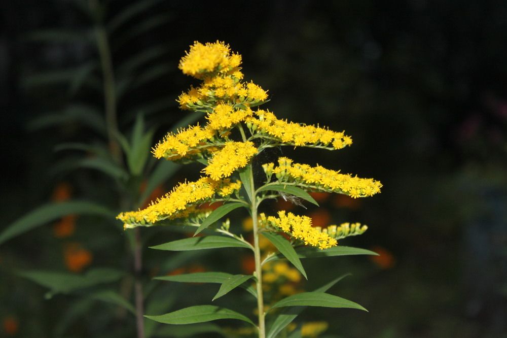 Photograph by Валерия Комаровская