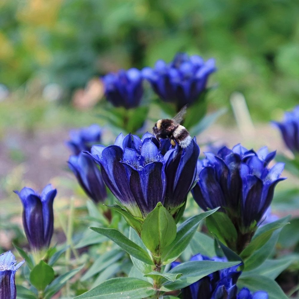 Photograph by Irina Alexandrova