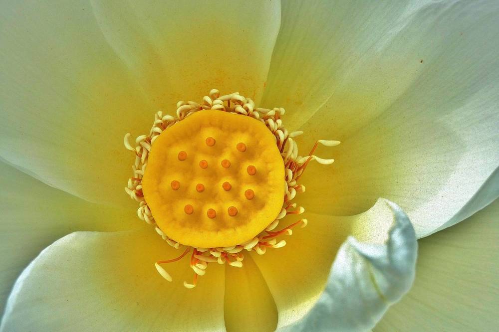 Photograph by backareva irina