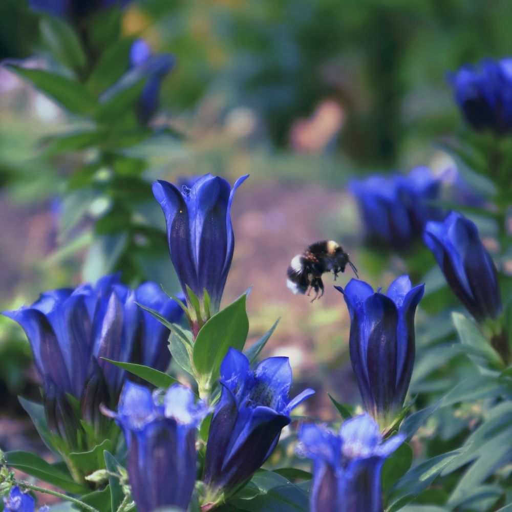 Photograph by Irina Alexandrova