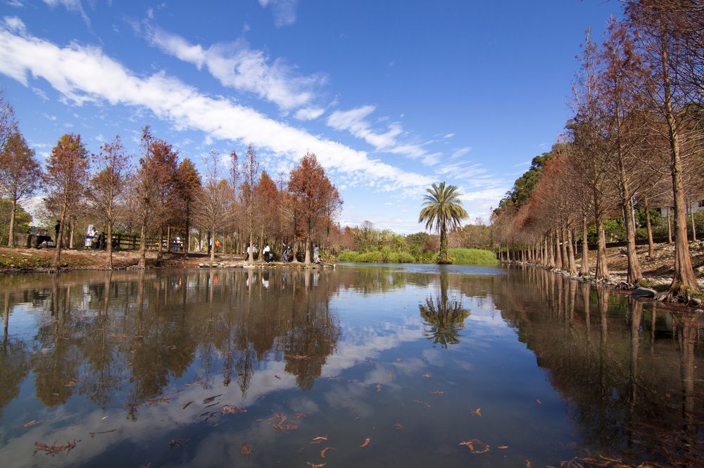 Photograph by  賴清淇