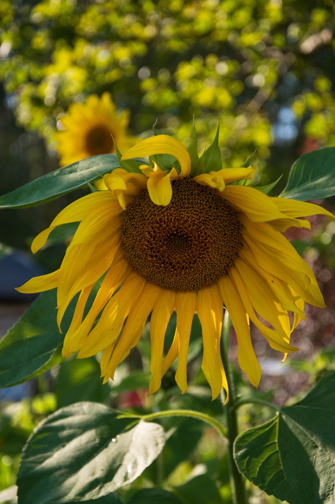 Photograph by Ксения Малютина