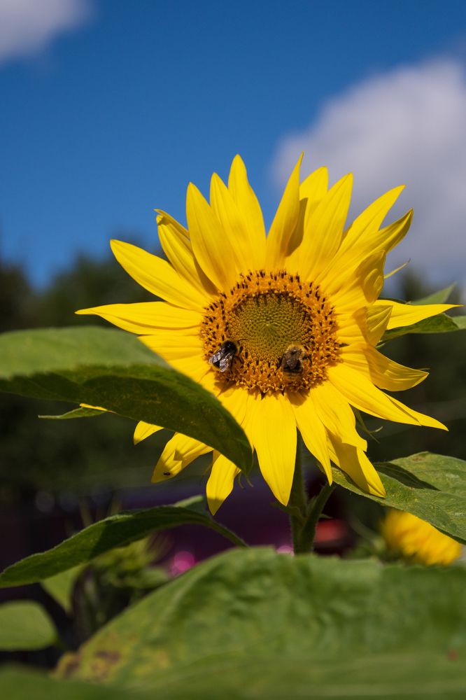 Photograph by Ксения Малютина