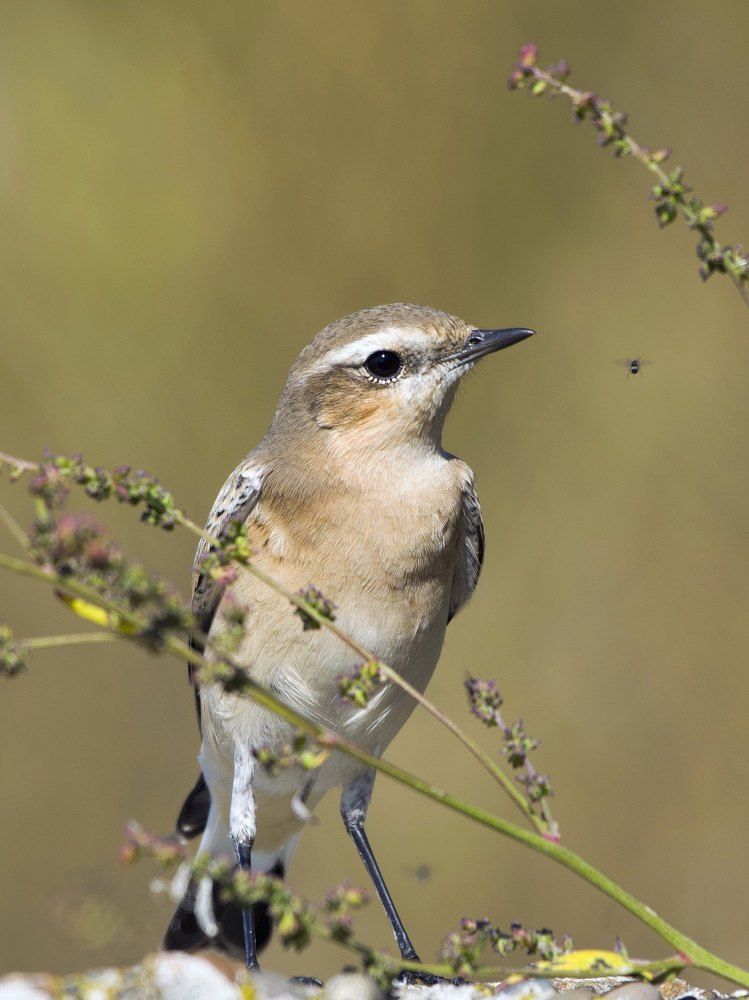 Фотография автора Садыков
